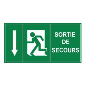 Panneau sortie de secours ABS 30x15 cm